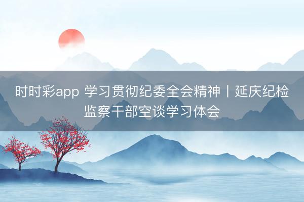 时时彩app 学习贯彻纪委全会精神丨延庆纪检监察干部空谈学习体会