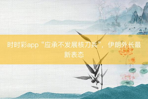 时时彩app “应承不发展核刀兵”，伊朗外长最新表态