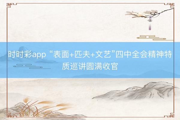 时时彩app “表面+匹夫+文艺”四中全会精神特质巡讲圆满收官