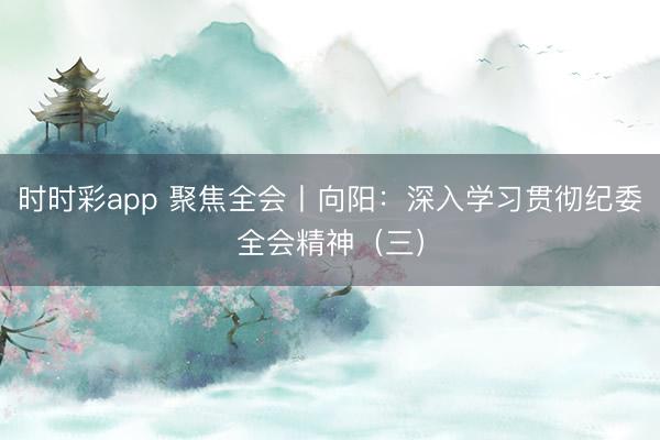 时时彩app 聚焦全会丨向阳：深入学习贯彻纪委全会精神（三）