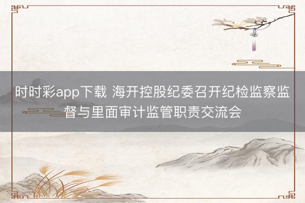 时时彩app下载 海开控股纪委召开纪检监察监督与里面审计监管职责交流会